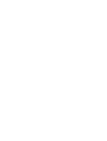 Bird Illustration